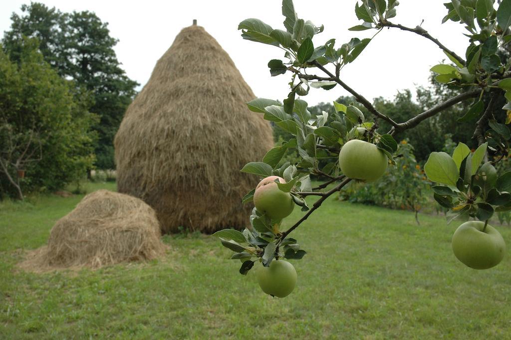 Ferienhof "Zum Spreewaeldchen" Бург Экстерьер фото